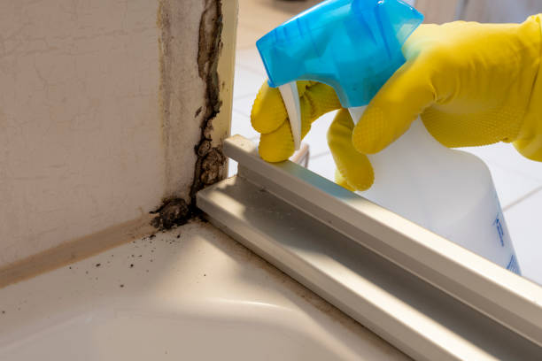 Best Mold Testing  in Weston, MO