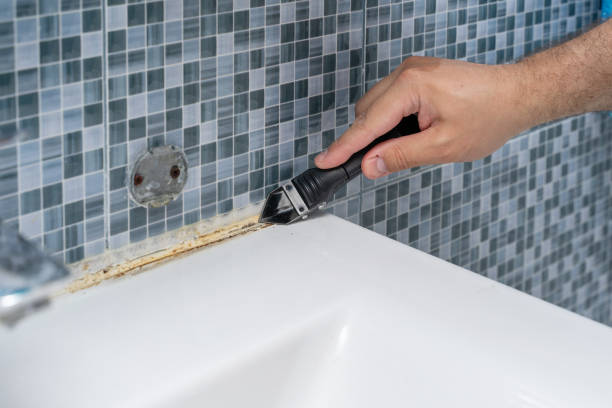 Best Mold Testing  in Weston, MO