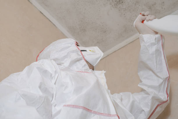 Best Emergency Mold Removal  in Weston, MO