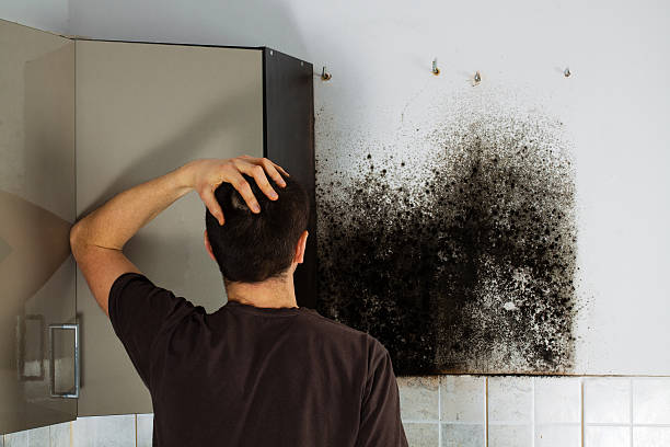 Crawl Space Mold Removal in Weston, MO