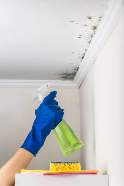 Best Mold Testing  in Weston, MO